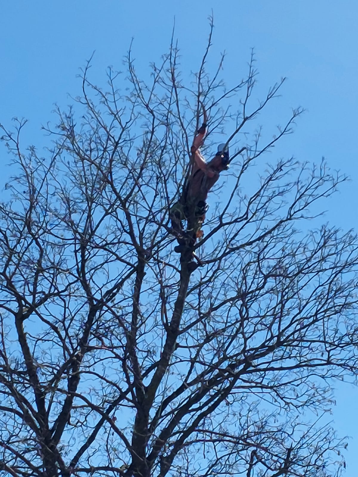 Industrial climber during maintenance work at height