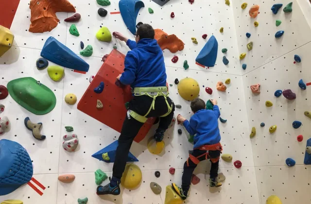 Beginner Climbing Course Ried im Innkreis – First Steps in the Gym