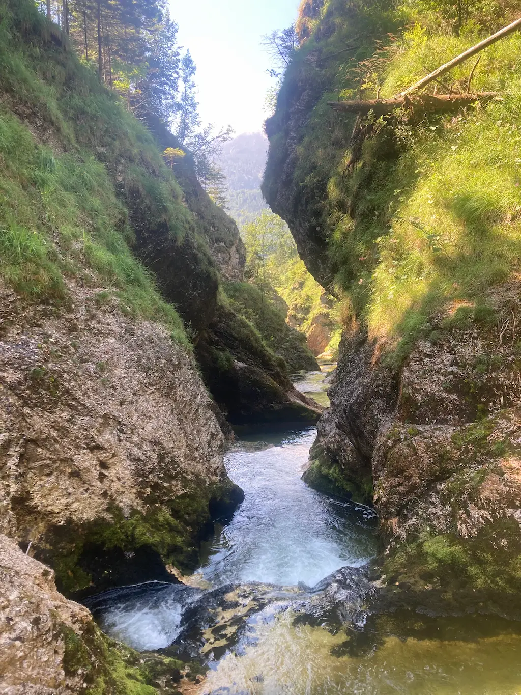 Almbachklamm canyoning tour with Badis Adventures – impression 6