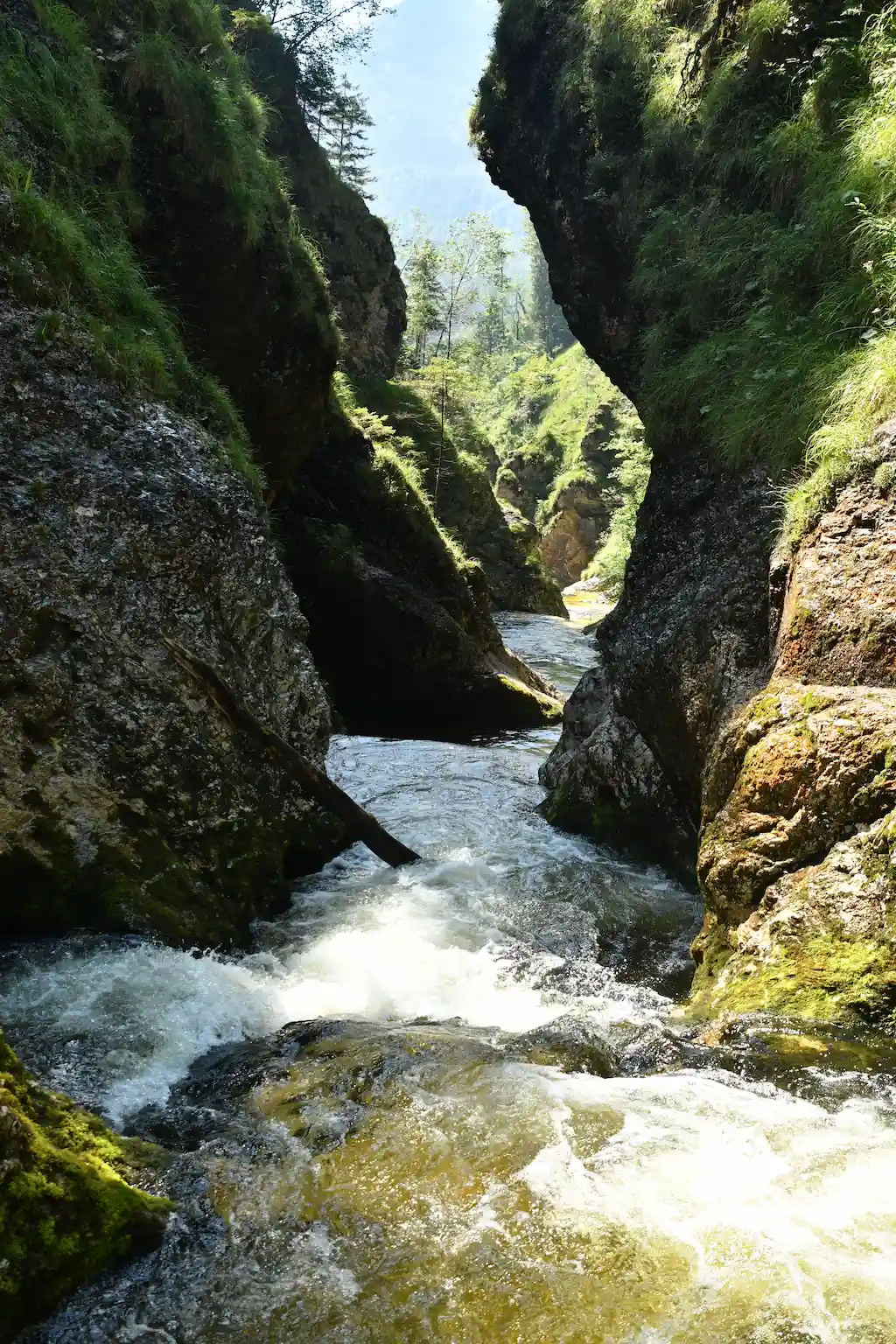 Gimbachkaskaden canyoning tour in Upper Austria – impression 7