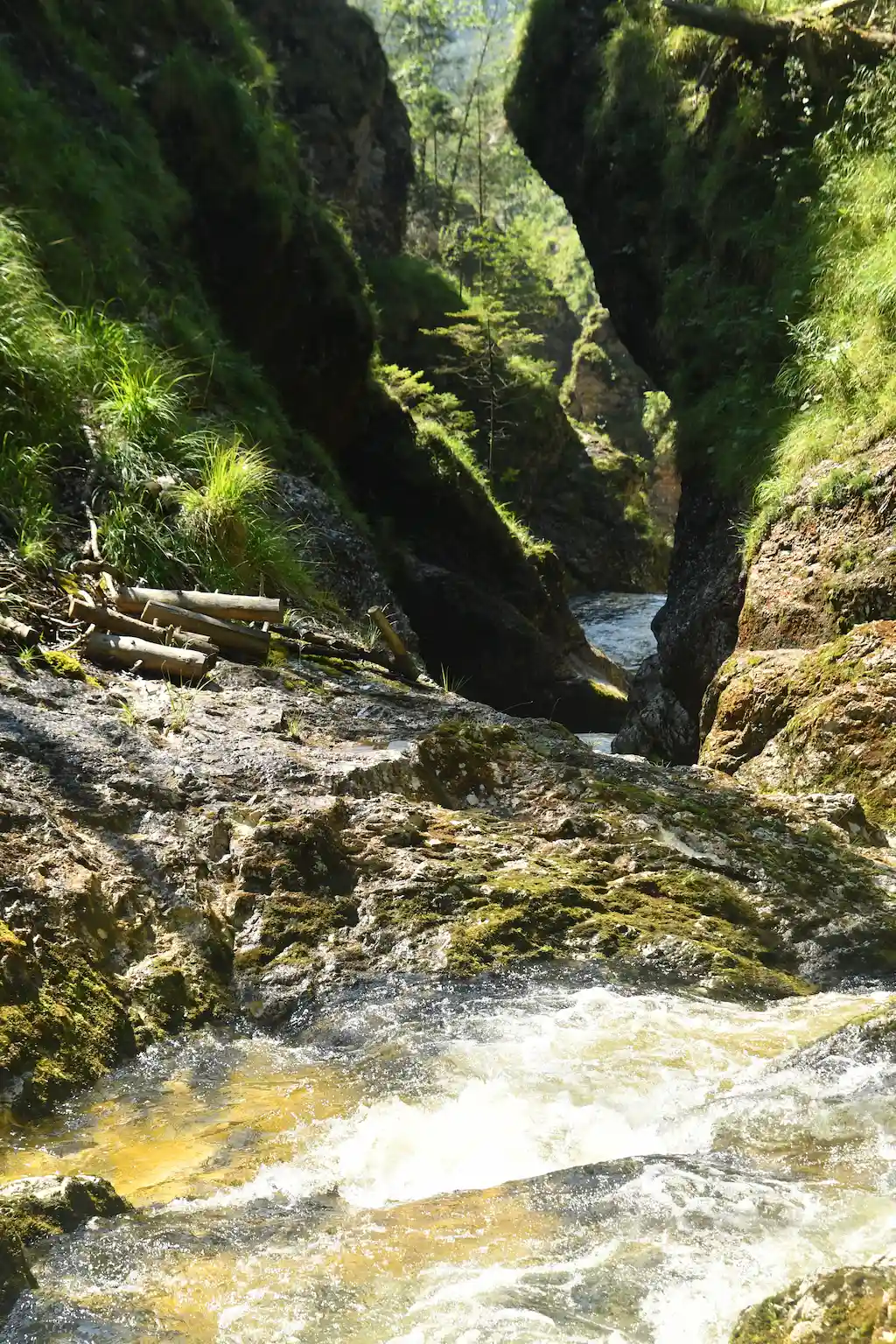 Gimbachkaskaden canyoning tour in Upper Austria – impression 8